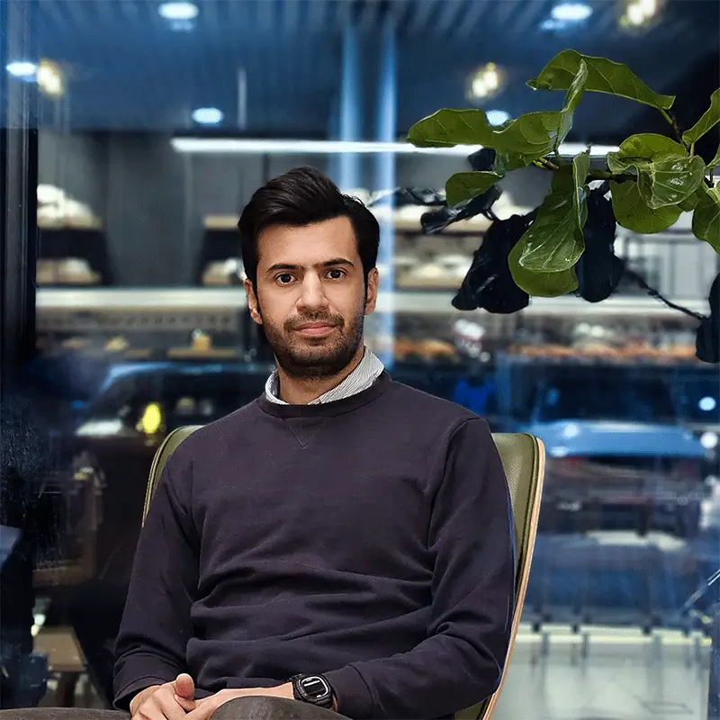 Mohammad Amin Amini